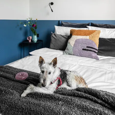 Solo Society City House Vilnius Coliving Экстерьер фото