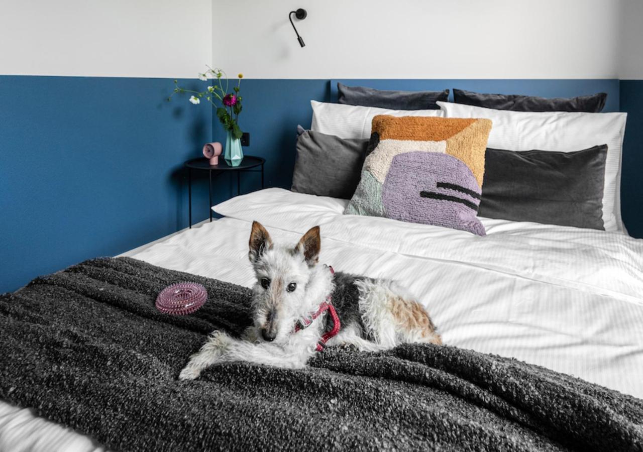 Solo Society House Coliving Apartment Vilnius